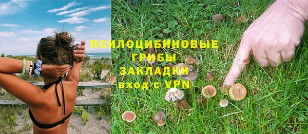 стаф Вяземский