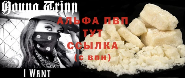 Альфа ПВП Верея